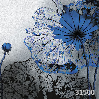 Nymphea blue