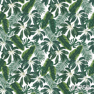 Tropical mix 1