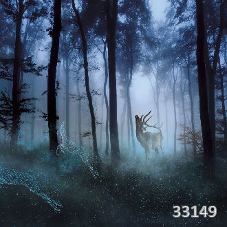 Mysterious forest