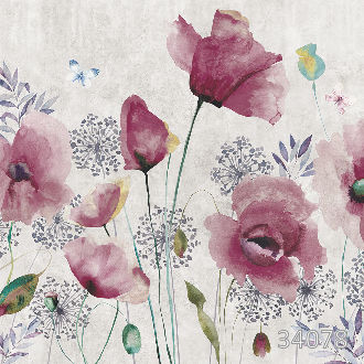 Flower poppy
